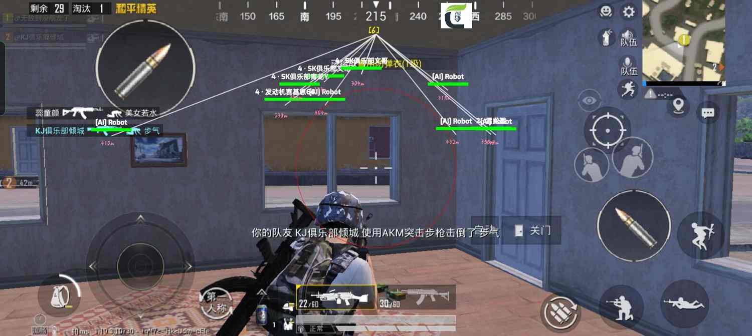 和平精英辅助【COCO】